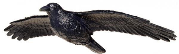 3D Tiere - Franzbogen, fliegender Rabe